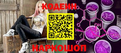 крисы Партизанск