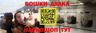крисы Партизанск